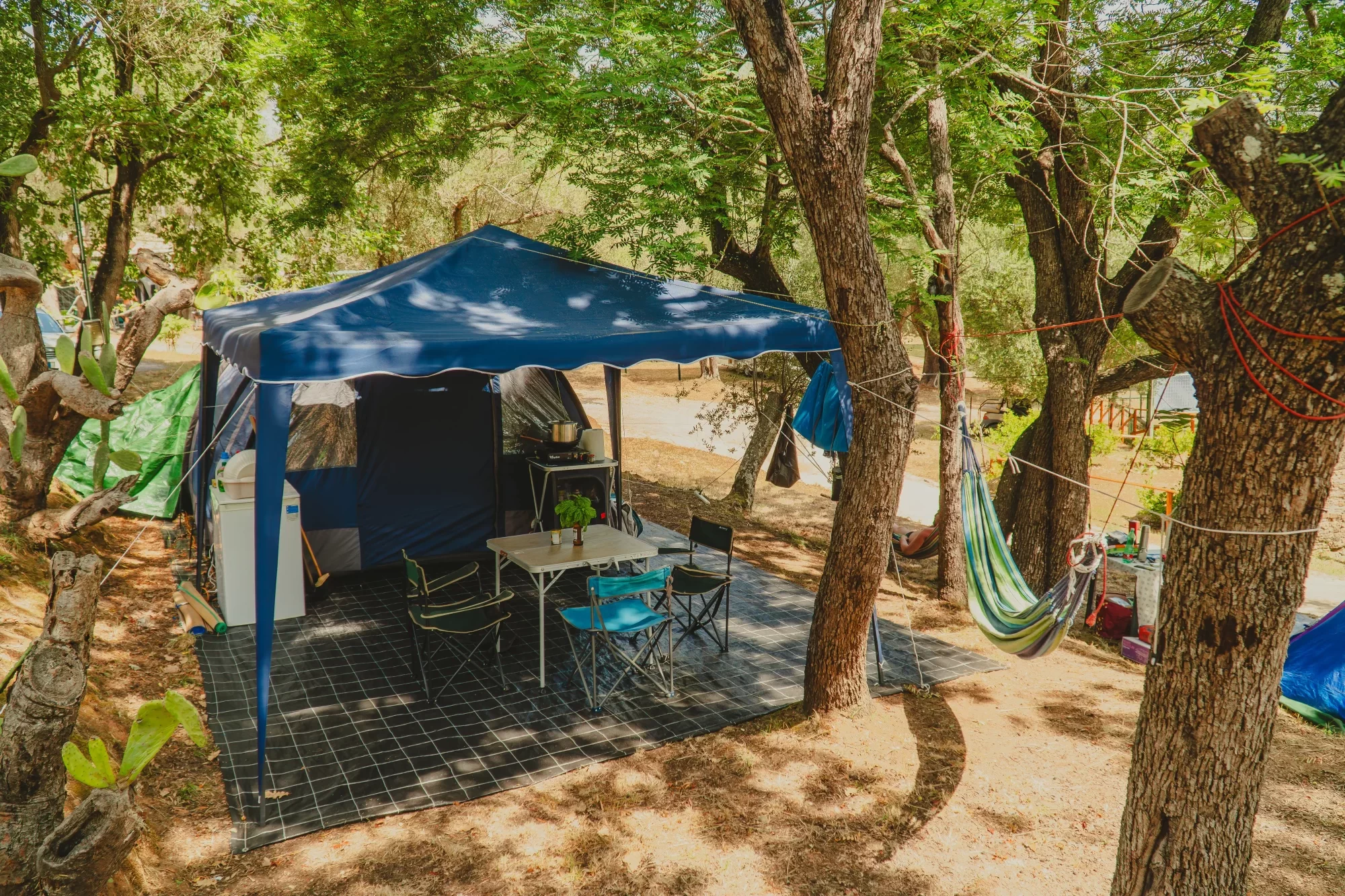 Tenda da campeggio con arredamento esterno e amaca in un bosco.