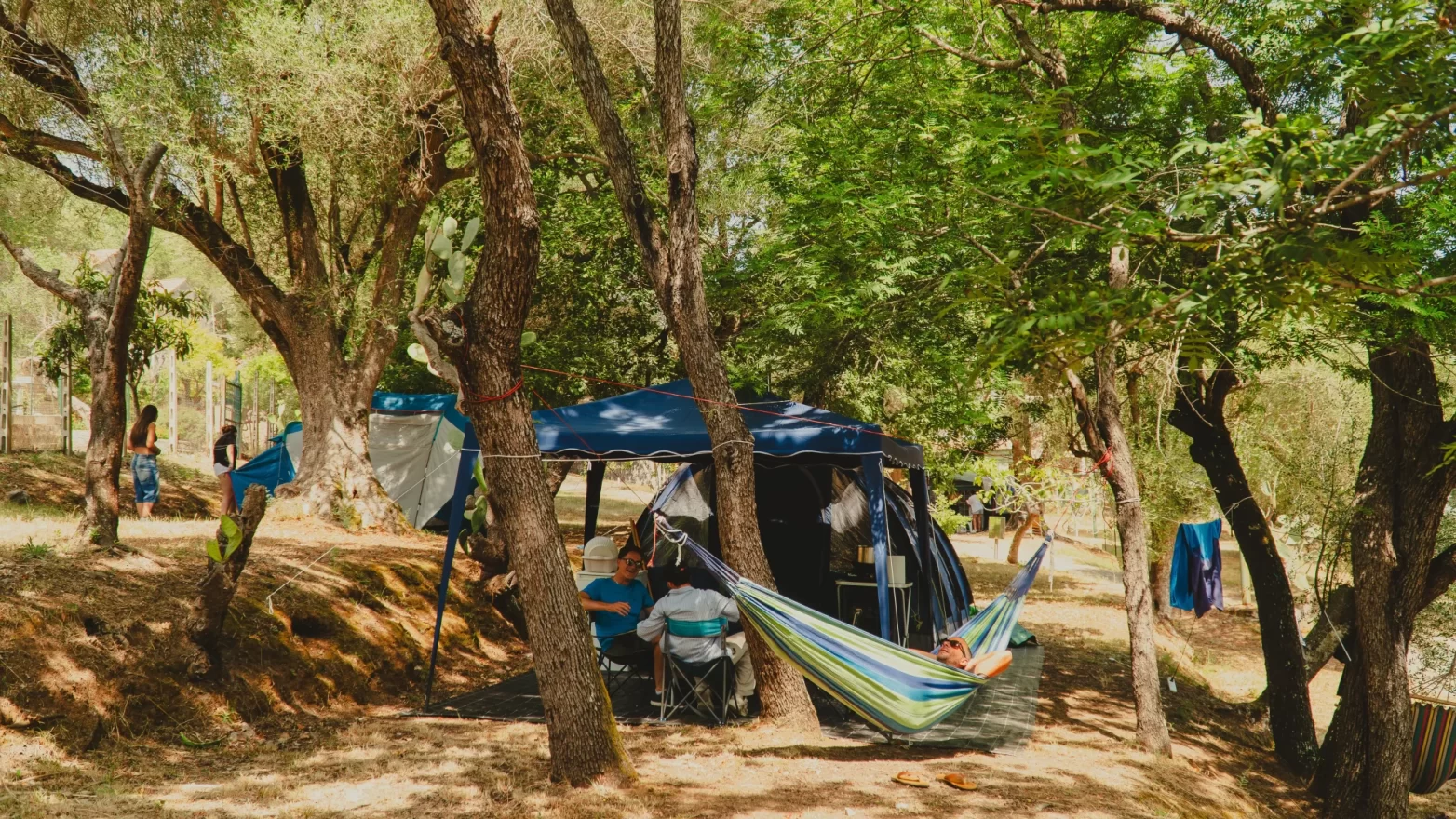 Campeggio estivo con persone che si rilassano vicino a una tenda e un'amaca tra gli alberi.