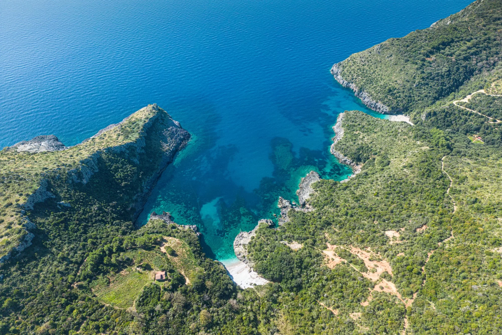 Veduta aerea di una costa verdeggiante con acque cristalline e una piccola spiaggia.