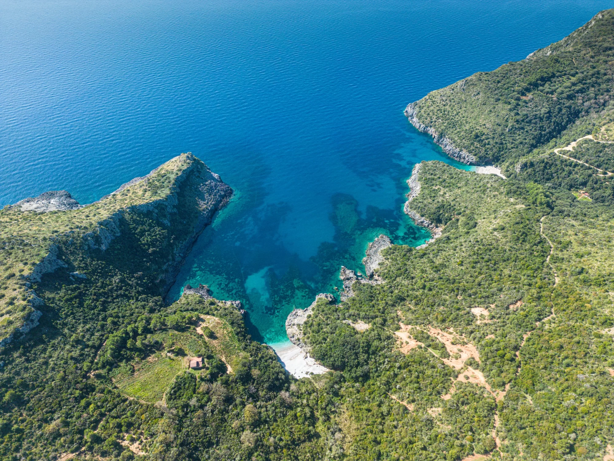 Veduta aerea di una costa verdeggiante con acque cristalline e una piccola spiaggia.