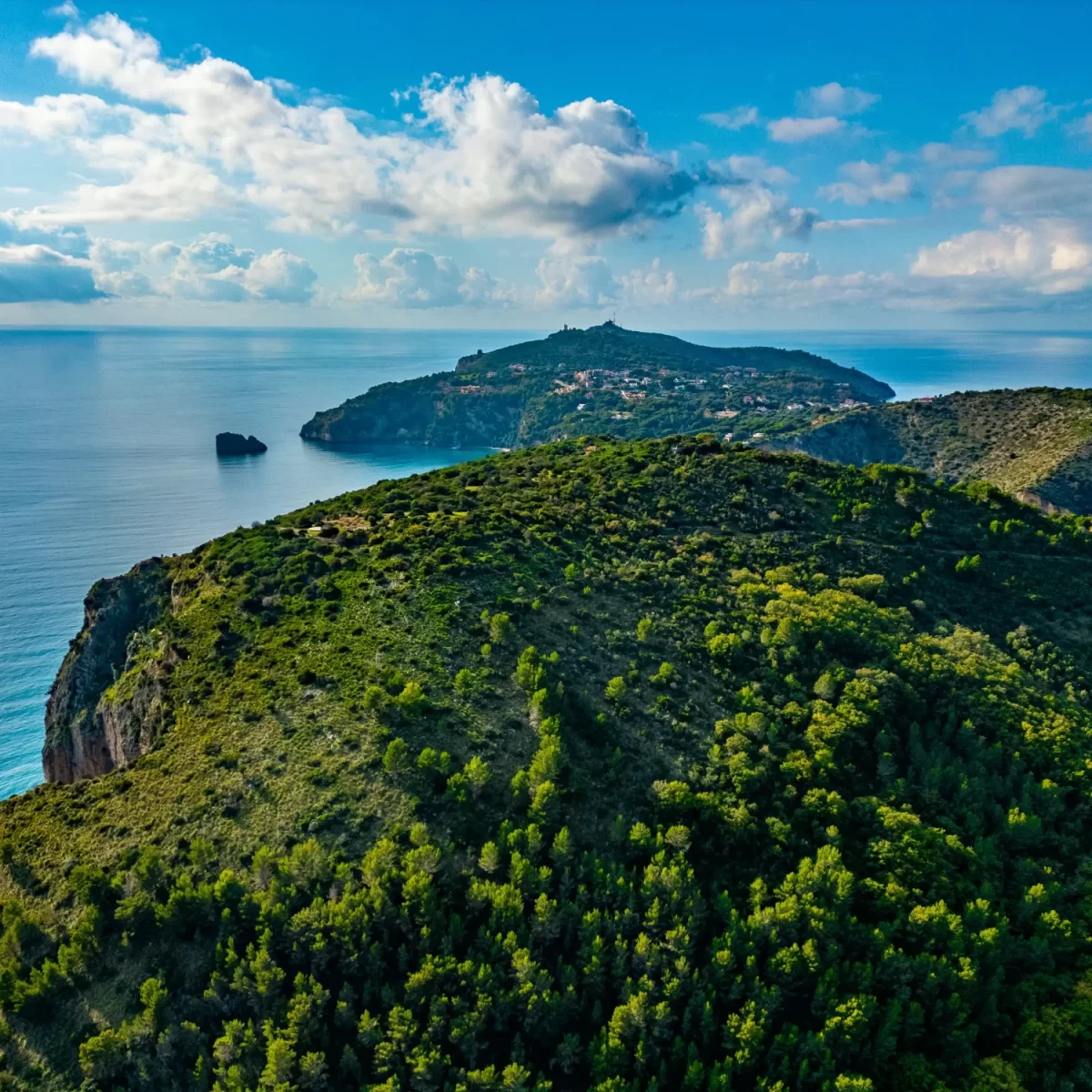 Vista aerea di paesaggio costiero con colline verdi e mare azzurro.