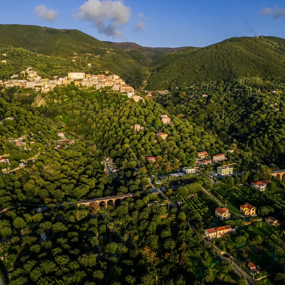 Vista aerea di un pittoresco villaggio collinare circondato da una fitta vegetazione verde.