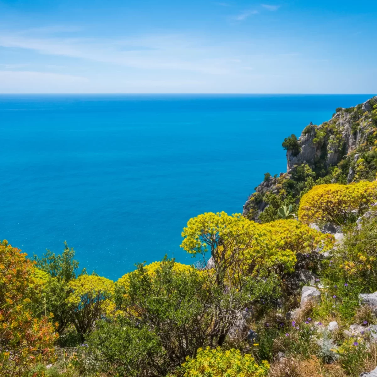 Vista panoramica del mare blu intenso con vegetazione lussureggiante e scogliere rocciose.