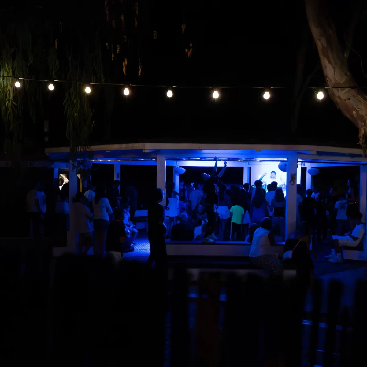 Festa notturna all'aperto con luci e persone illuminate di blu.